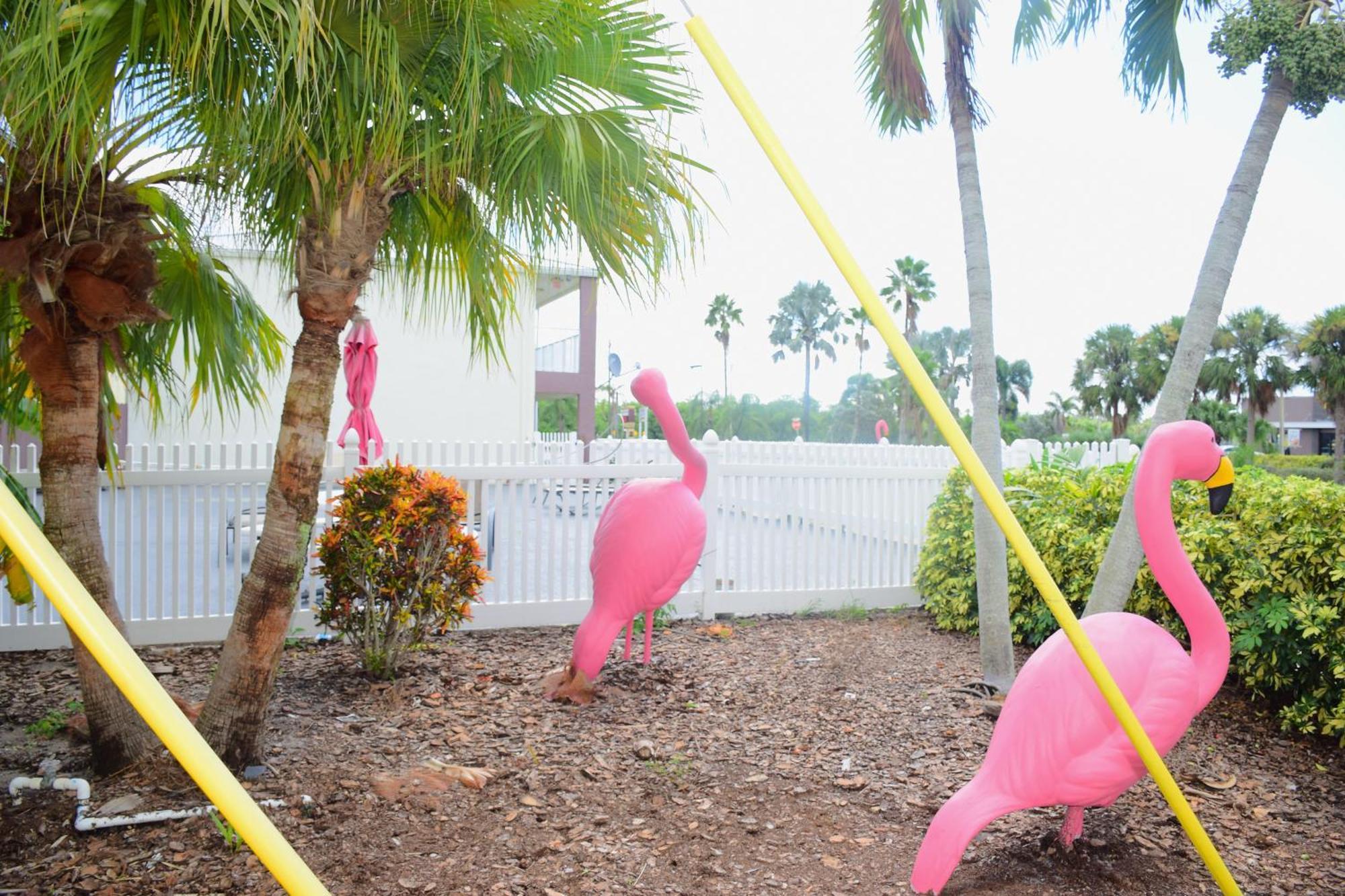 Flamingo Motel Okeechobee Exterior photo